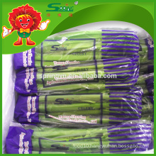 2015 Chinese organic vegetables New fresh celery